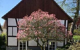Gemütliches Ferienhaus im Extertal/ Lippe